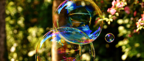 Bubbles in the air, a garden in the background. Their iridescent surfaces are shining.